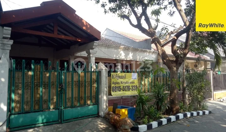 Dijual Rumah Kupang Jaya Dekat Kupang Indah, Darmo Satelit, Sukomanunggal, Surabaya Barat Dijual Rumah Kupang Jaya Dekat Kupang Indah, Darmo Satelit, Sukomanunggal, Surabaya Barat