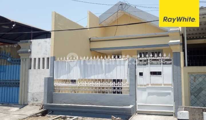 Dijual Rumah SHM di Darmo Indah Selatan Surabaya Dijual Rumah SHM di Darmo Indah Selatan Surabaya