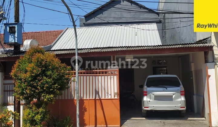 Disewakan Rumah Strategis di Jalan Ikan Mungsing Perak Surabaya Disewakan Rumah Strategis di Jalan Ikan Mungsing Perak Surabaya