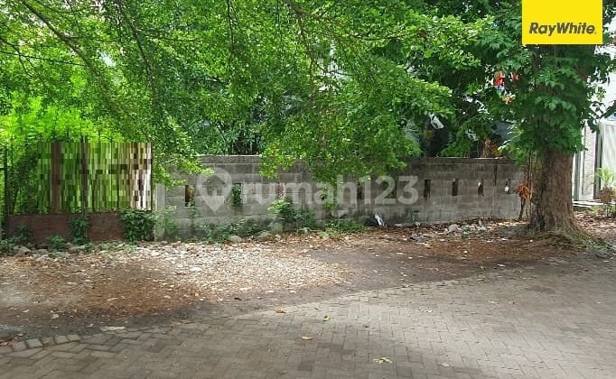 Disewakan Tanah di Gayung Kebonsari Surabaya Disewakan Tanah di Gayung Kebonsari Surabaya