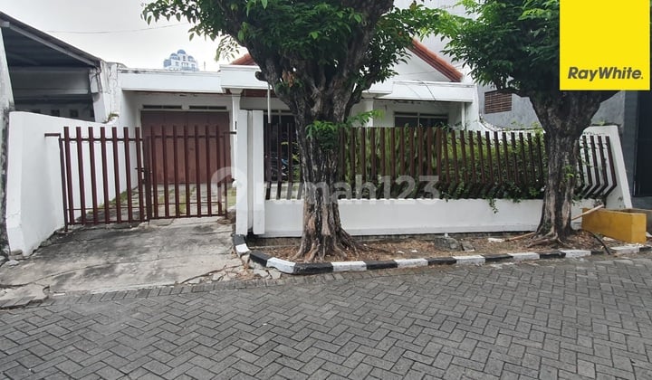 Dijual Rumah SHM di Darmo Permai Selatan Surabaya Dijual Rumah SHM di Darmo Permai Selatan Surabaya