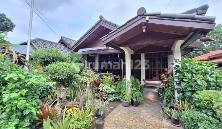 Rumah Unik, Teduh Dekat Kampus Gunadharma & Universitas Indonesia