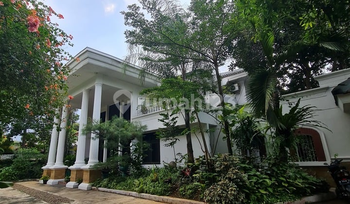 For Sale Cheap Well-Maintained Old House with Spacious and Green Yard on H A Wahid Street, Jati Padang, South Jakarta