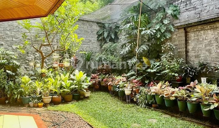 Rumah Murah Di Hang Jebat Kebayoran Baru