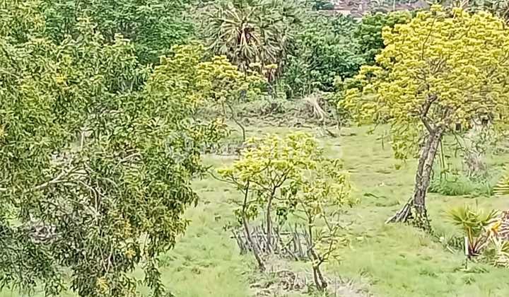 102 Sqm Land For Shop House Sgd 800 Each Year. Up To 99 Years