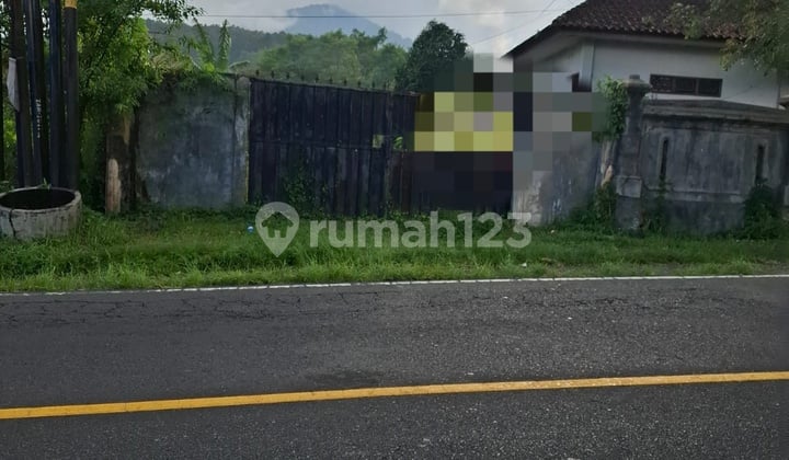Langka Dijual Cepat Lahan Siap Bangun,lokasi Nol Jalan Raya Baturiti Cocok Untuk Villa Atau Komersial Area