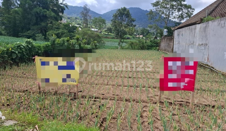 Langka Dijual Cepat Lahan Siap Pakai Area Bedugul Dekat Dengan Blossom Garden