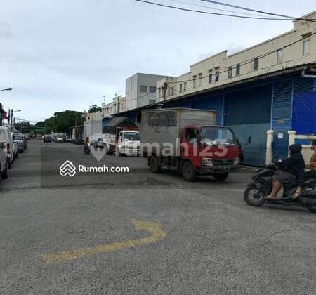 Sewa Gudang Elang Laut