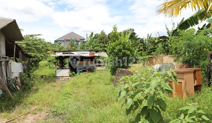 kavling besar di Intercon