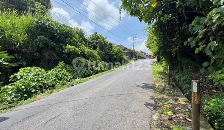 Tanah SHM di Jalan Utama - Cocok Kos/Toko, Roi Tinggi Dekat Living World Denpasar.