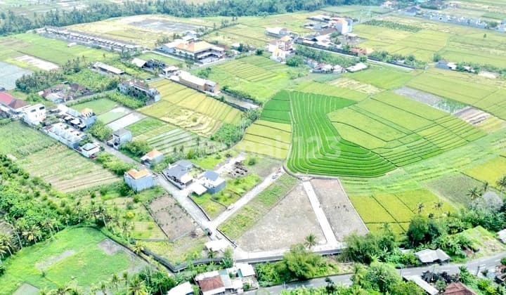 Tanah Kavling Murah dengan View Sawah di Pantai Yeh Gangga Sudimara, Tabanan Bali