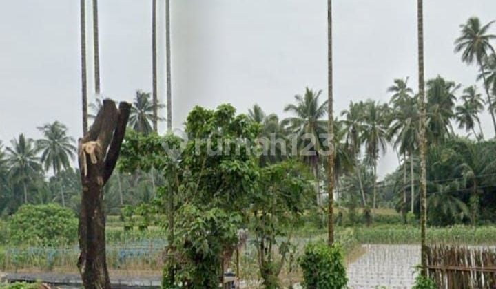 Tanah di Lubuak basuang 13000 SHM