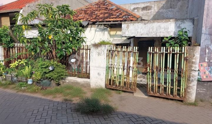 Rumah Hitung Tanah.klampis Cocok untuk Kos/Bangun Jadi 2 Rumah Dekat Banyak Kampus