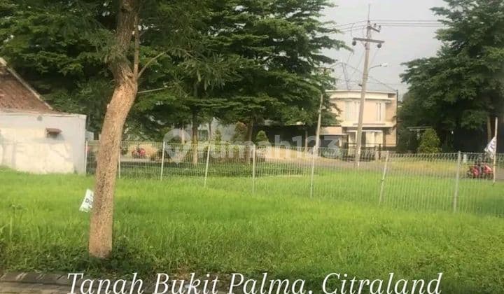 Tanah Murah Bawah Njop Bukit Palma Citraland Surabaya Dekat Ptc Supermal Pakuwon Indah Graha Family