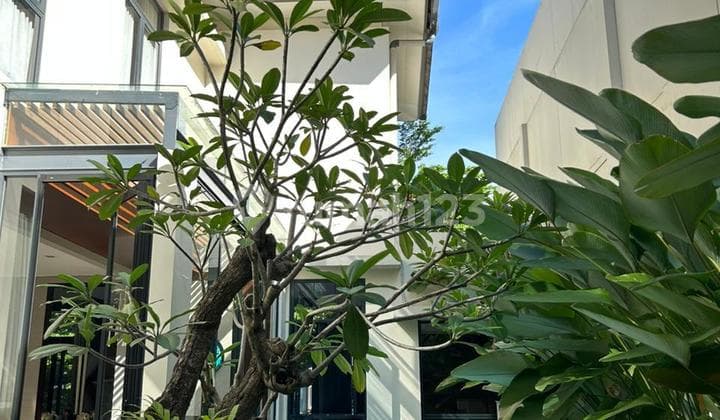 Rumah Mewah Ada Swimpool Furnish Cluster Lancewood Navapark Bsd