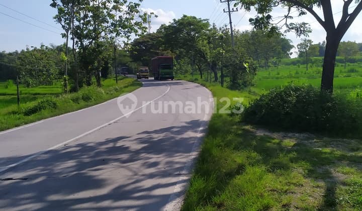 Land in Blora, Central Java