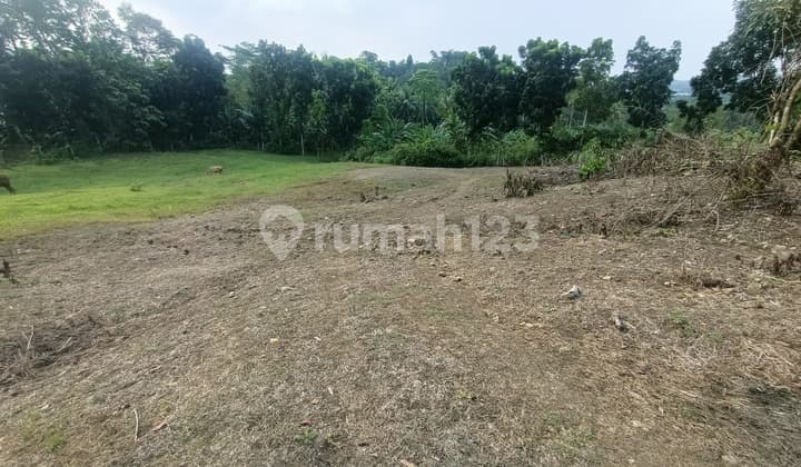 Kavling di Desa Ligarmukti, Cimande, Bogor *0005-CHRWID*