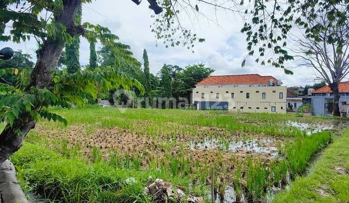 Tanah Super Premium di Tibubeneng Canggu Bali