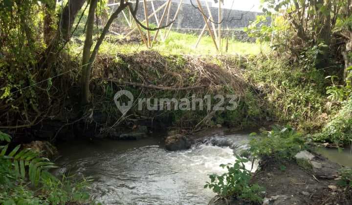 Tanah Sewa Pemandangan Sawah di Seseh Munggu Bali