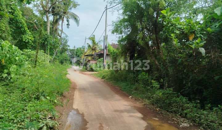 Tanah Murah meriah di Keramas Gianyar - Bali