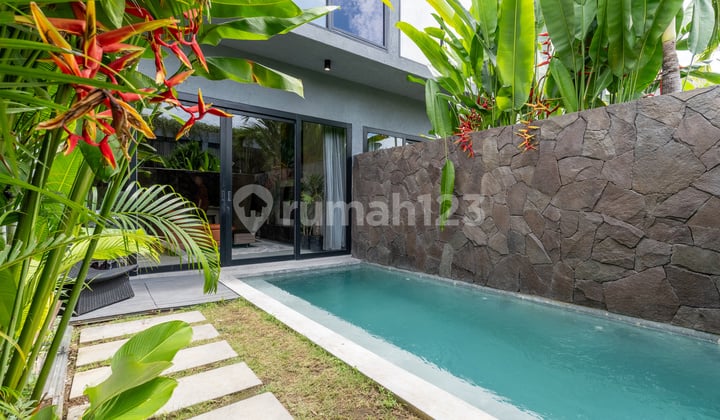 Luxury 04 Bed Rooms In Babakan Canggu For Long Lease