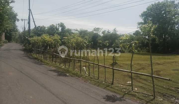 Land for sale in Prime Location Balangan - Ungasan - Badung Regency - Bali