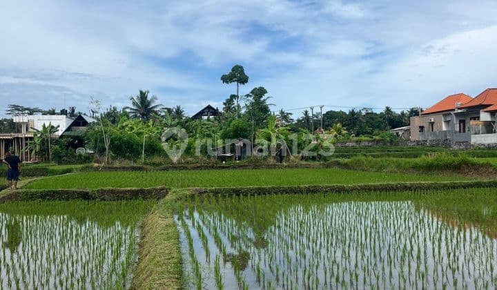 Tanah Pemandangan Asri di Sewakan di Pejeng - Ubud - Gianyar - Bali
