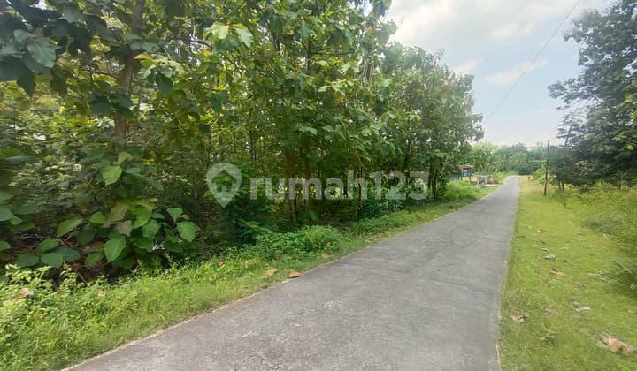 Tanah Murah Lokasi Plesungan Gondangrejo Solo