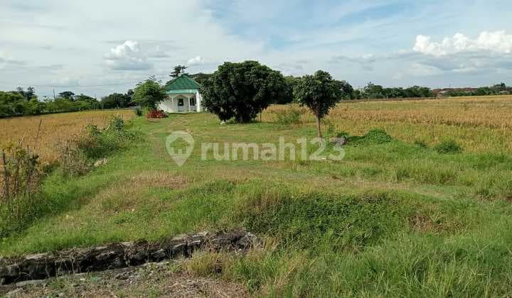 Good Land Near Mosque Behind Nirmalasuri Sukoharjo Hospital
