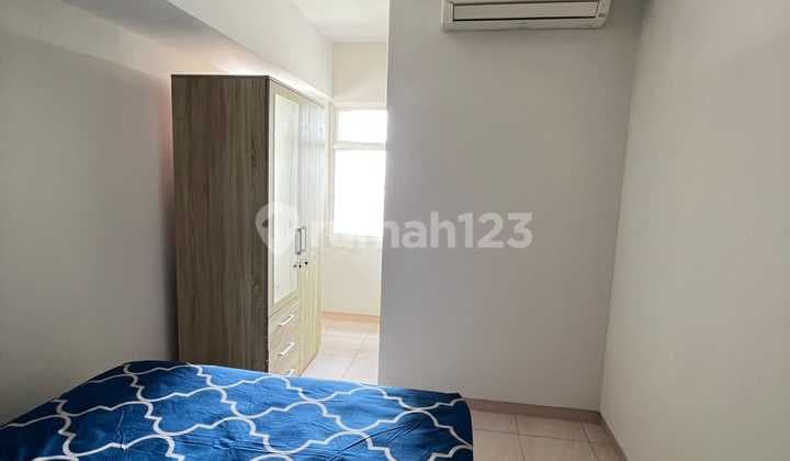 Apartemen 2 Bed Room Tower Azolla The Springlake Summarecon Bekasi