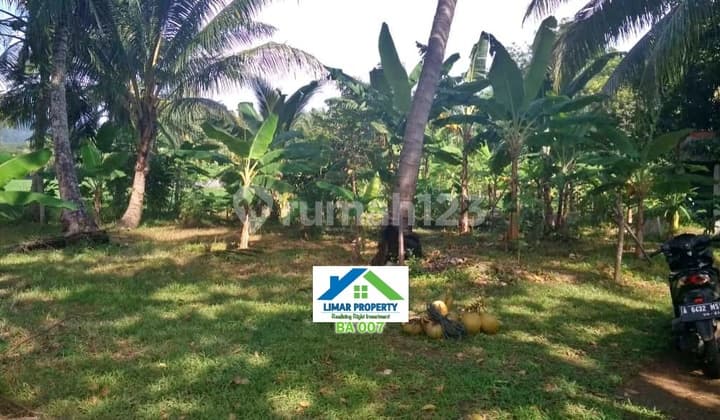 Tanah Luas Pinggir Jalan Raya Hadap Pantai Harga Bagus di Carita
