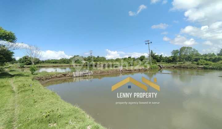 Dijual hak Milik tambak ikan terawat di Jembrana Bali