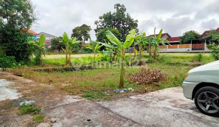 Tanah Murah di Juwangen Jl Sambisari Kalasan Sleman Yogyakarta