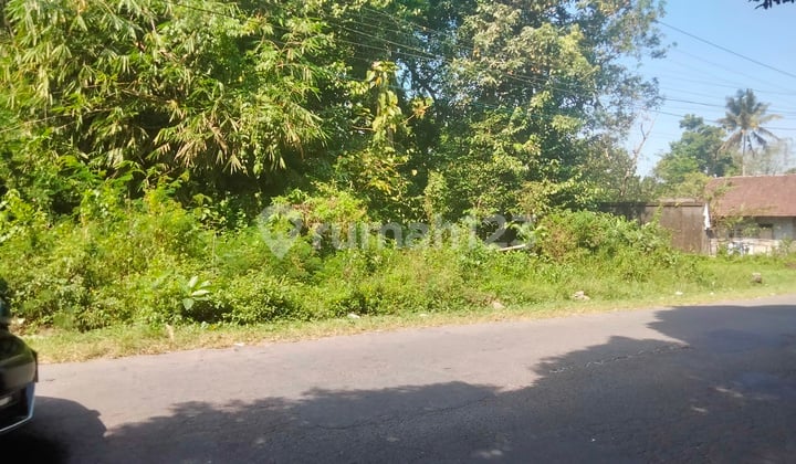 Tanah Pekarangan di Jl Boyong Merapi Harjobinangun,pakem Sleman