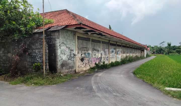 Tanah Luas di Jl Penggung Jatinom, Karanganom Klaten Jawa Tengah