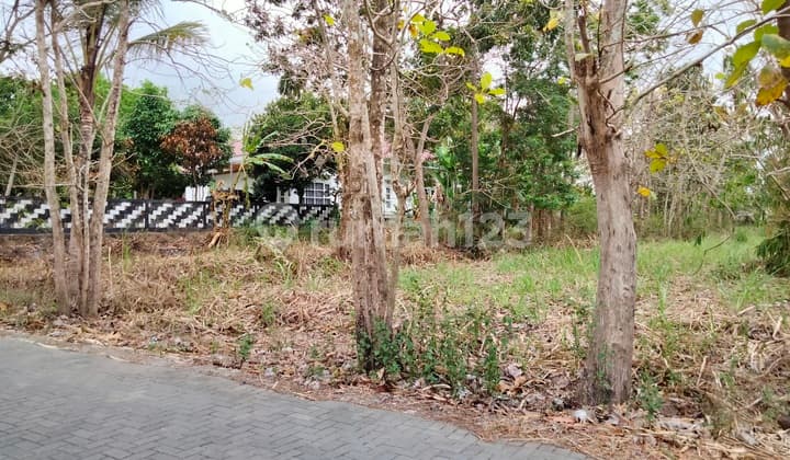 Tanah pekarangan dekat Raja Klana Resto Balecatur gamping Sleman Yogyakarta
