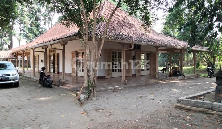 Tanah Luas di Pogung Baru jl kaliurang km 5 dekat kampus UGM Yogyakarta