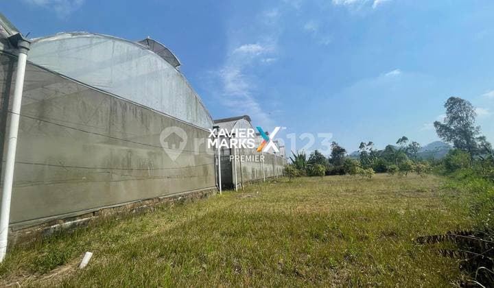 Tanah dan Bangunan Greenhouse Cocok Untuk Agribisni di Gendro Pasuruan