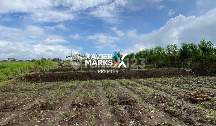 Dijual Tanah Prospek Bisnis Bagus di Landungsari Dau Malang