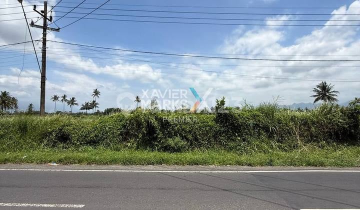 Lahan Luas Poros Jalan Zona Komersil di Pakis Malang