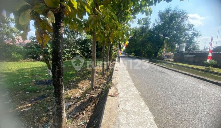 Tanah Super Istimewa di Palagan