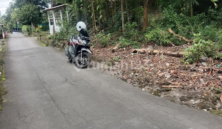 SUPER CHEAP LAND IN THE HARJOBINANGUN PAKEM AREA