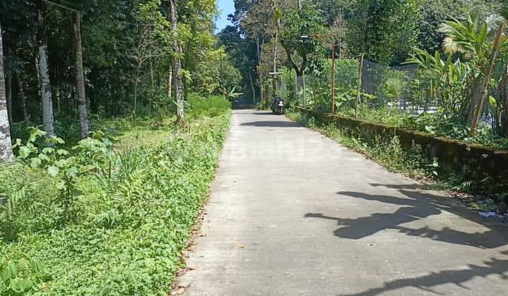 Tanah Super Murah Di Cangkringan