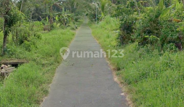 Super Special and Cheap Land in Pakem