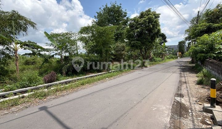 Tanah Super Murah Dekat Kampus Uii Di Jalan Kaliurang Km 13