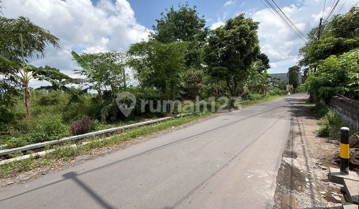 Tanah Super Murah Dekat Kampus Uii Di Jalan Kaliurang Km 13