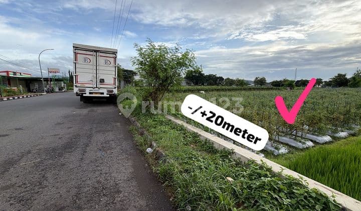 Tanah Super Istimewa di Jalan Kemudo Prambanan