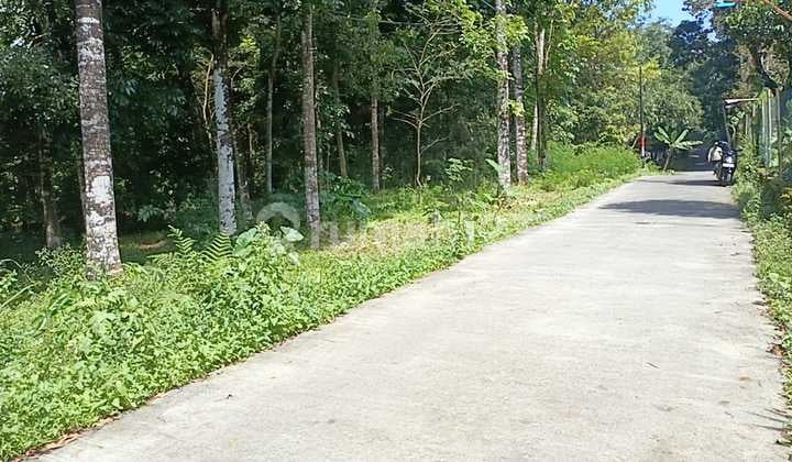 Tanah Super Murah Di Cangkringan