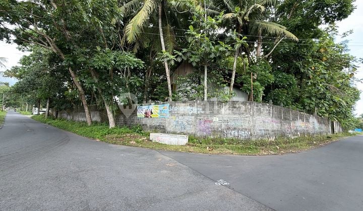Tanah Super Istimewa dan Murah Dekat Kampus Uii di Jalan Kaliurang Km 14