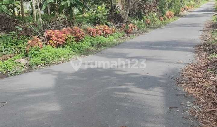 Durian Plantation Land in Purwobinangun Pakem